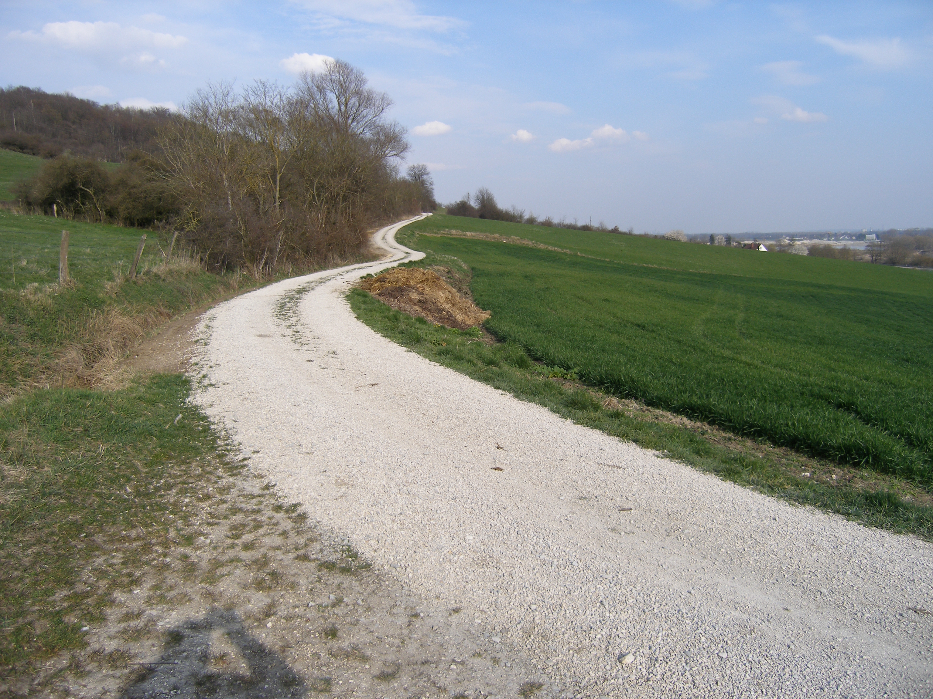Wanderweg zwischen Zirgesheim und Schäfstall